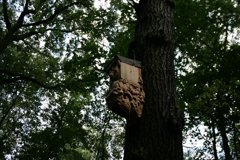 Hochwasser20070822 0001.JPG